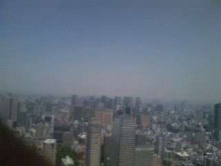 東京タワーより望む.jpg